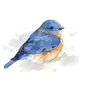 Bluebird Watercolor Painting Bird Print Bird Watcher Gift image 2