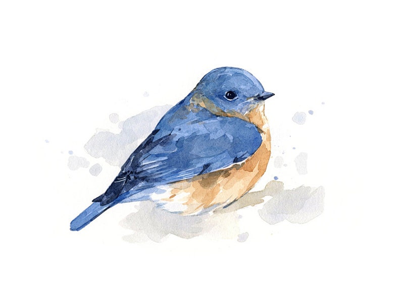 Bluebird Watercolor Painting Bird Print Bird Watcher Gift image 2
