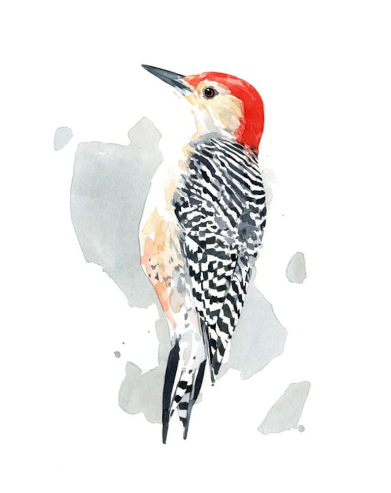 Red-bellied Woodpecker Print Watercolor Bird Painting Bird Wall Art image 2