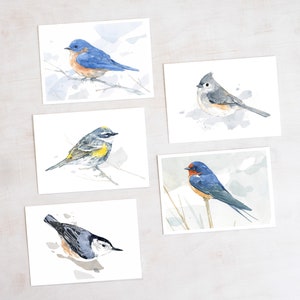 May include: Five watercolour paintings of different birds on white backgrounds. The birds are a bluebird, a chickadee, a yellow-rumped warbler, a barn swallow, and a nuthatch.