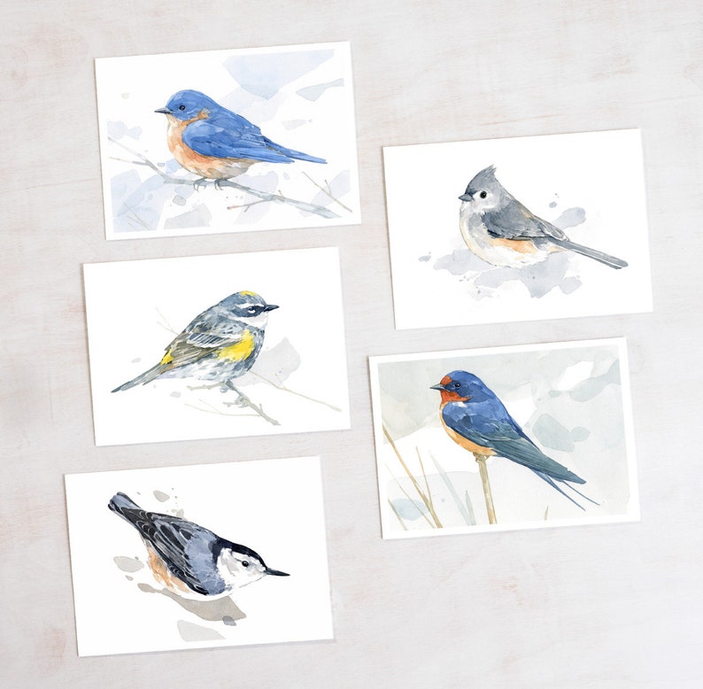 May include: Five watercolour paintings of different birds on white backgrounds. The birds are a bluebird, a chickadee, a yellow-rumped warbler, a barn swallow, and a nuthatch.