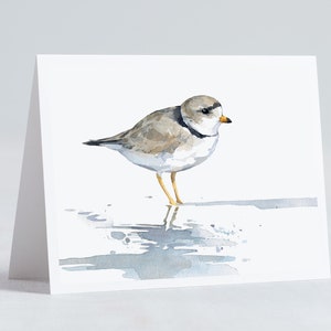 Shorebird Beach Card Set Mixed Bird Art Stationery Gift Set image 6