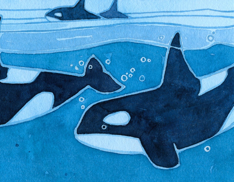 May include: A watercolor painting of three orcas swimming in blue water. The orcas are black with white markings. The water is a light blue color with white bubbles.