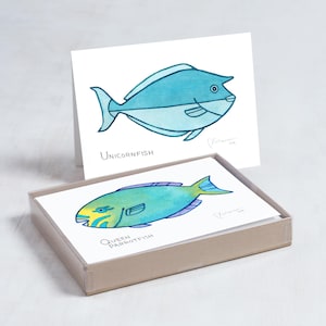 Tropisches Korallenriff-Fische Kartenset