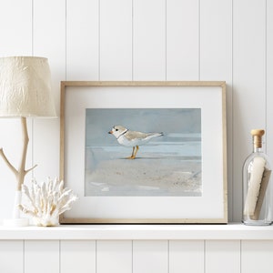 Piping Plover Beach Art Print Coastal Decor Seashore Wall Art image 2