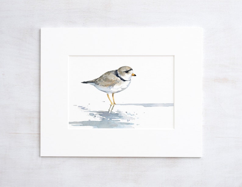 Piping Plover aquarel print strandloper strand schilderij Birdwatcher cadeau afbeelding 2