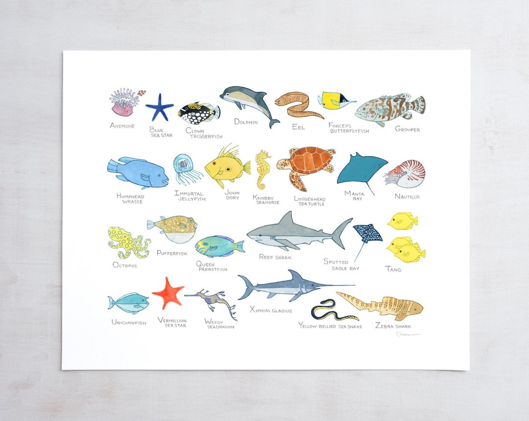Ocean Animals Alphabet Print Sea Creatures Kids Wall Decor New Baby ...