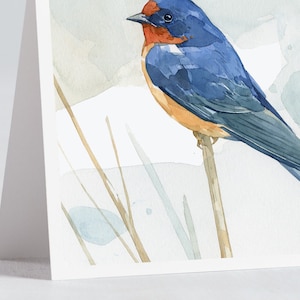May include: A watercolour painting of a blue and orange bird perched on a twig. The bird has a long tail and a pointed beak. The background is a soft blue and green.
