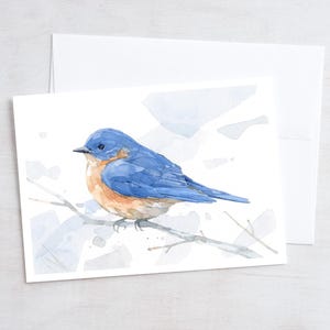 May include: A watercolour painting of a bluebird perched on a branch. The bird has a blue back, white chest, and orange belly. The background is a light blue watercolour wash.