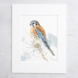 American Kestrel Watercolor Painting Bird Print