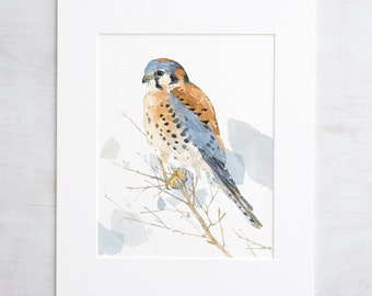 American Kestrel Watercolor Painting Bird Print