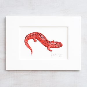 Red Salamander Art Print Animal Watercolor Painting