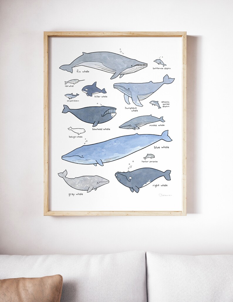 Whale Print Nautical Nursery Whale Decor Wall Art Whale Etsy UK