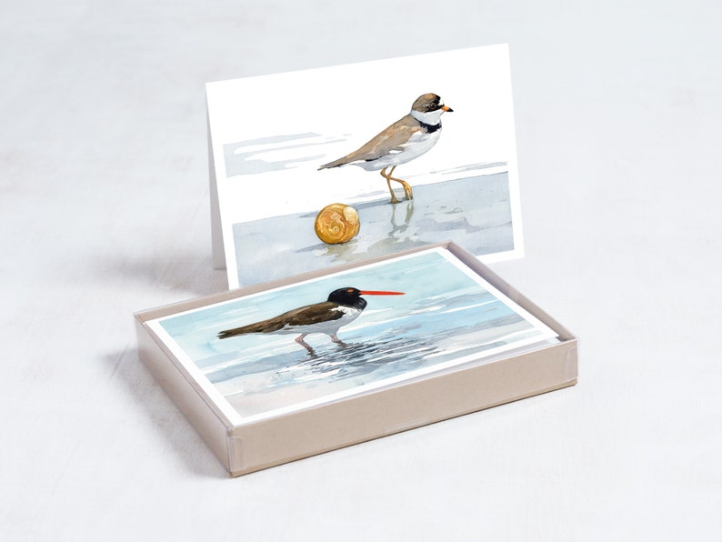 Shorebird Beach Card Set Mixed Bird Art Stationery Gift Set image 2