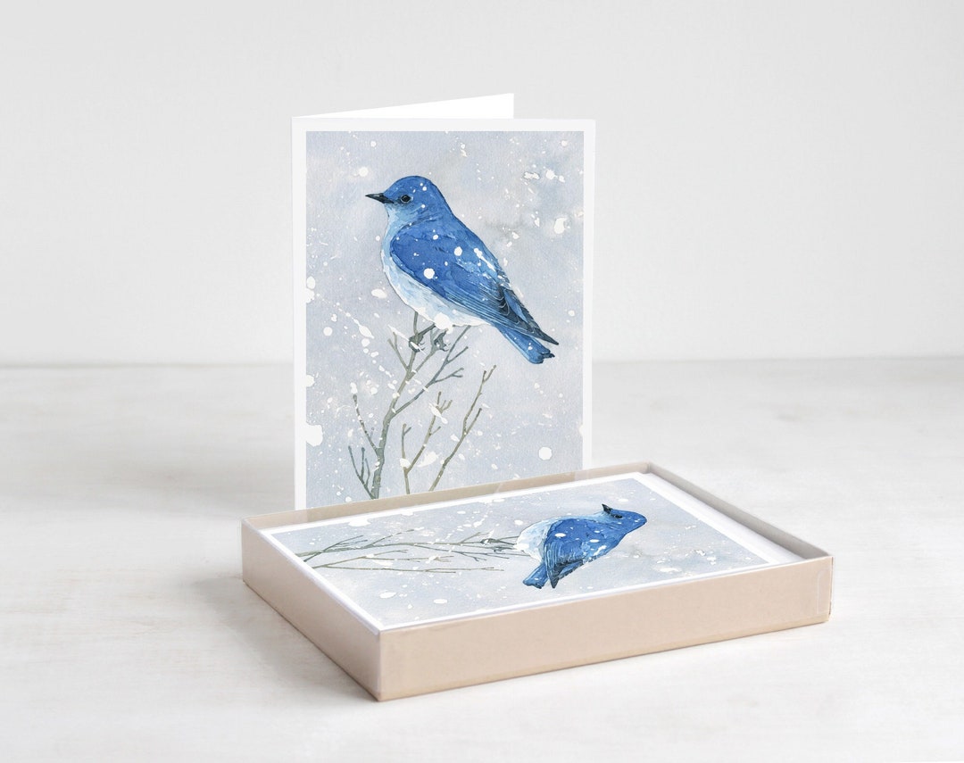 Mountain Bluebird in Snow Watercolor Card Set Winter Bird Holiday Cards ...