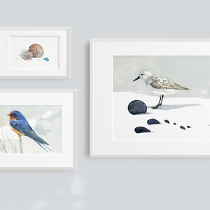 May include: Three framed watercolor paintings of birds and seashells. The top painting shows a seashell with a blue stone. The middle painting shows a bluebird perched on a branch. The bottom painting shows a small bird standing on a rock with footprints in the sand.