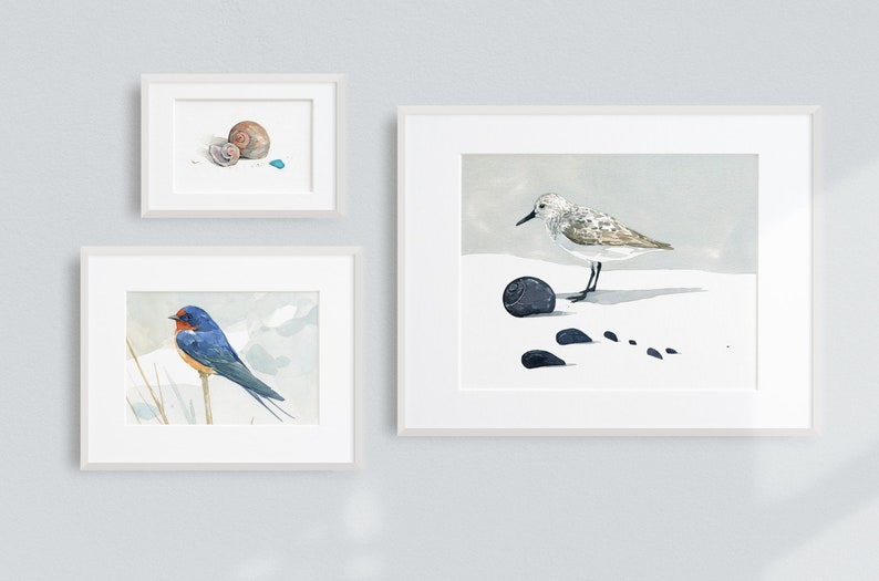 May include: Three framed watercolor paintings of birds and seashells. The top painting shows a seashell with a blue stone. The middle painting shows a bluebird perched on a branch. The bottom painting shows a small bird standing on a rock with footprints in the sand.