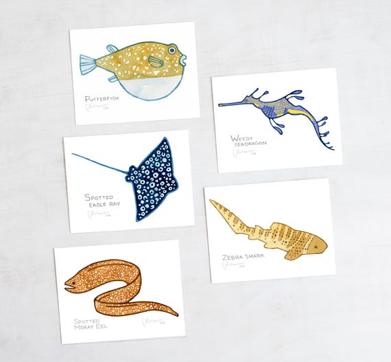 Spotted Sea Creatures Card Set Ocean Animal Cards