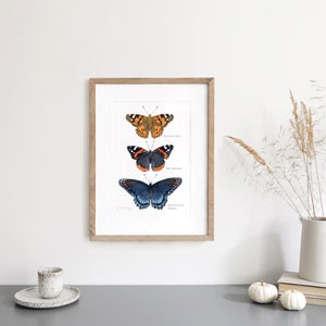 Butterfly Tier Watercolor Art Print image 3