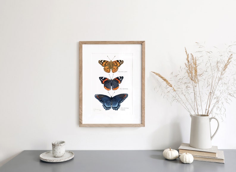 Butterfly Tier Watercolor Art Print image 3