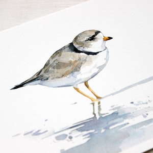 Piping Plover aquarel print strandloper strand schilderij Birdwatcher cadeau afbeelding 4
