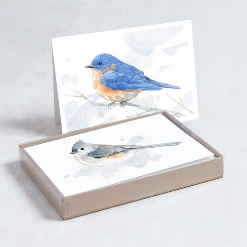Bird Watercolor Card Set Mixed Bird Art Stationery Gift Bluebird Tufted Titmouse Barn Swallow Warbler Nuthatch Birder Gifts Mothers Day Gift