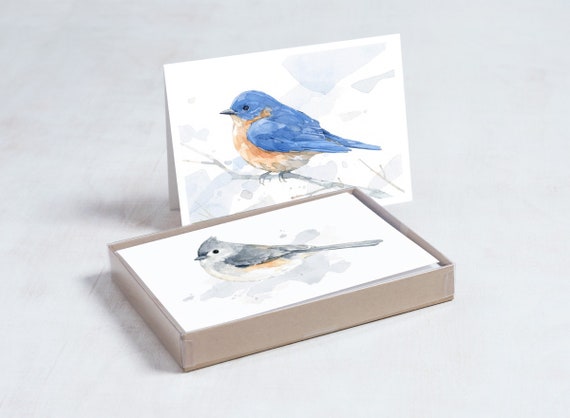 Bird Watercolor Card Set: Mixed Bird Art Stationery Gift