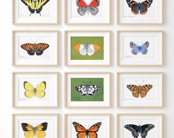 Schmetterling Aquarell Druck Set Stellen Sie sich Ihre eigene Druck Sammlung zusammen