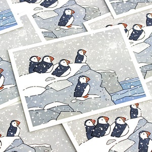 Juego de tarjetas navideñas Frailecillos en la nieve Tarjetas con temática de la naturaleza