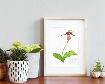 Watercolors: Nature