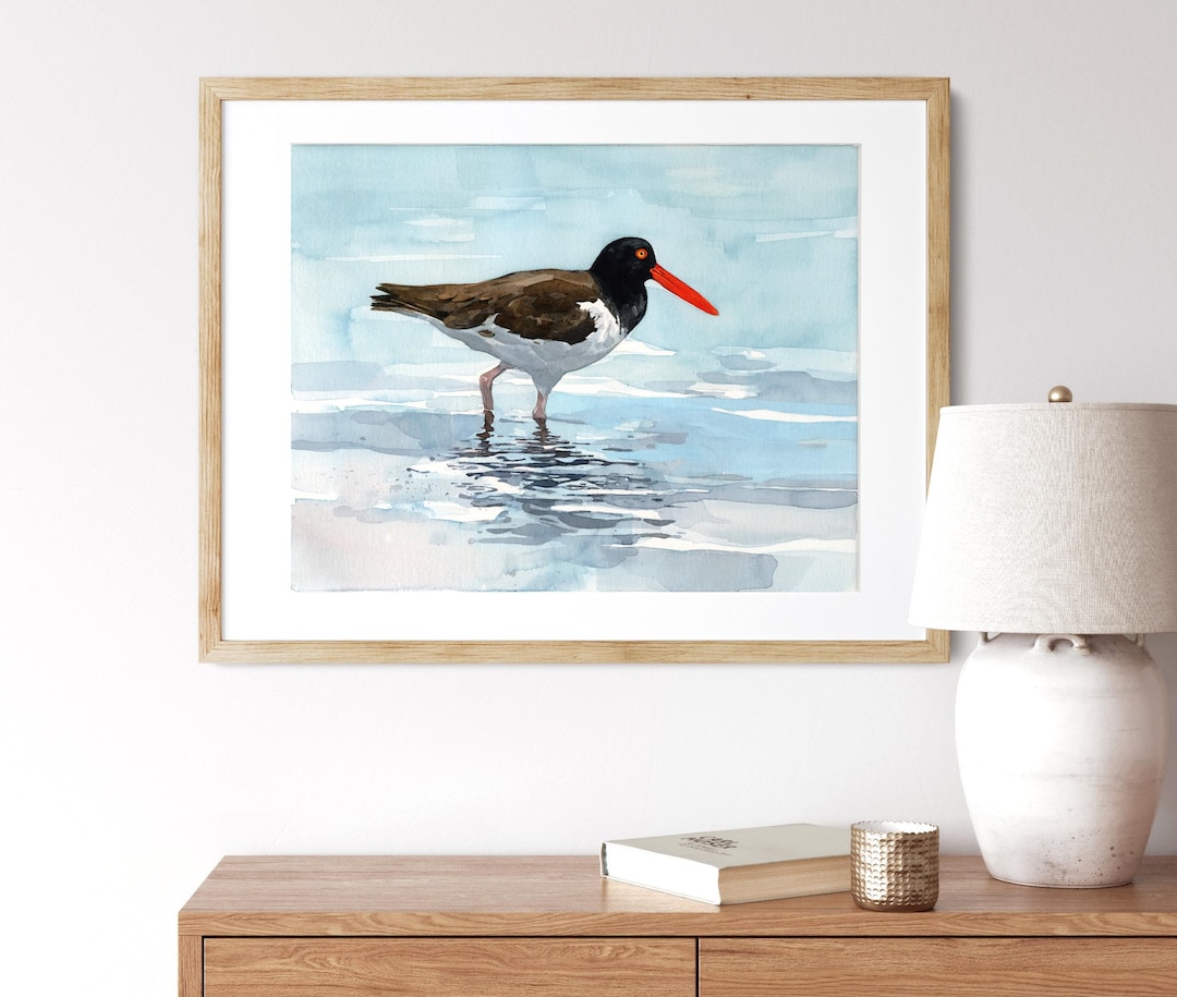 Oystercatcher Watercolor Print: Coastal Bird Beach Wall Art - Etsy
