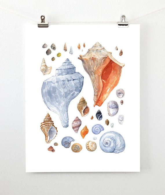 Seashell Painting Coastal Wall Art Watercolor Shells Print Beach