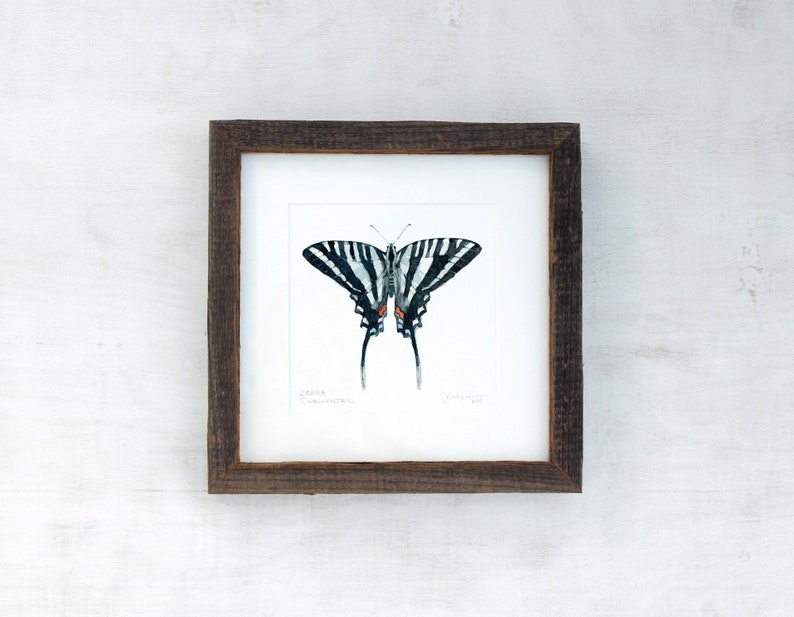 Zebra Swallowtail Butterfly Original Watercolor Painting Framed image 1