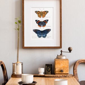 Butterfly Tier Watercolor Art Print image 2