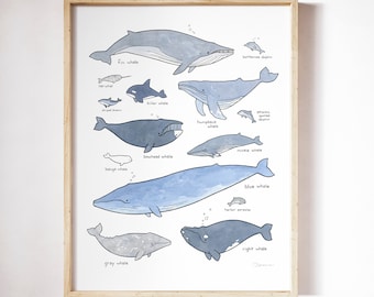 Whale Print Nautical Nursery Whale Decor Wall Art Whale Chart Illustration