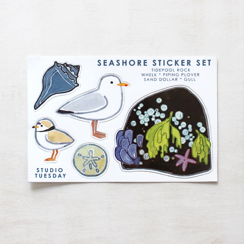Beach Sticker Set: Seagull, Shell, Sand Dollar, Piping Plover Stickers ...