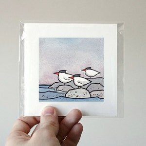 Terns Miniature Art Print Birds Watercolor Illustration Royal Tern Illustration