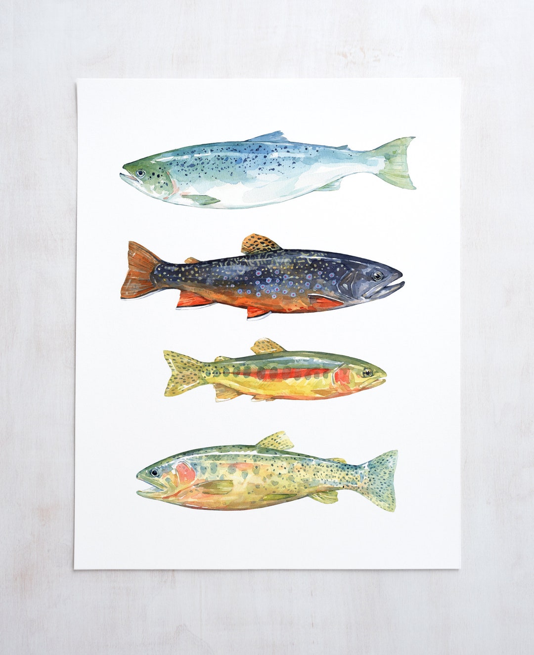 Trout Watercolor Art Print Fly Fishing Trout Painting Colorful Fish Decor 