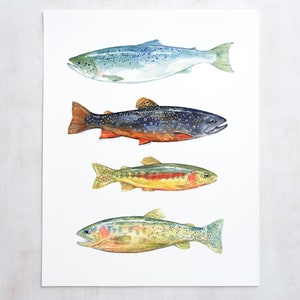 Trout Watercolor Art Print Fly Fishing Trout Painting Colorful Fish Decor