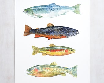 Pintura de truta em aquarela, pintura de truta para pesca com mosca, decoração de peixes coloridos