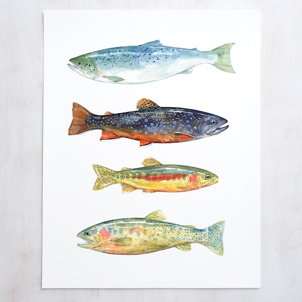 Trout Watercolor Art Print Fly Fishing Trout Painting Colorful Fish Decor