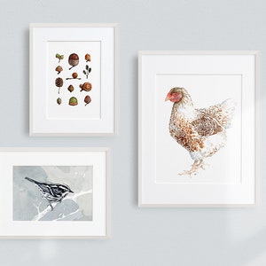 Chicken Watercolor Print White and Brown Hen Farm Animal Print image 2