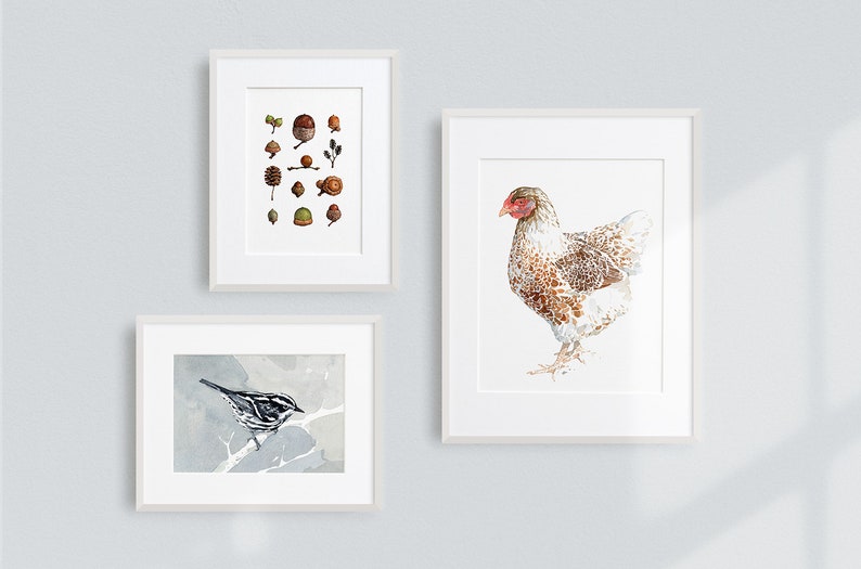 Chicken Watercolor Print White and Brown Hen Farm Animal Print image 2