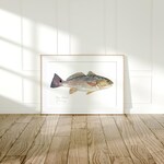 Fish Art Prints