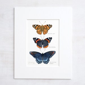 Butterfly Tier Watercolor Art Print image 5