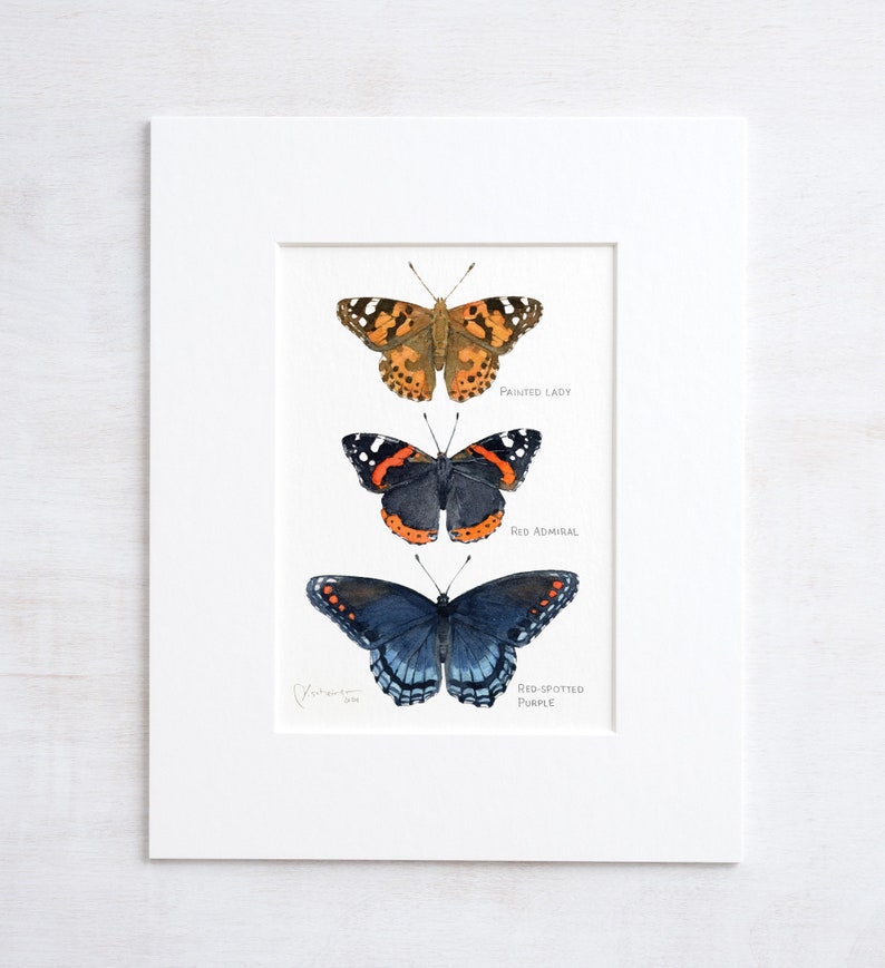 Butterfly Tier Watercolor Art Print image 5