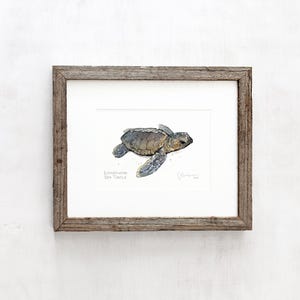 May include: A watercolor painting of a Loggerhead Sea Turtle hatchling swimming in the ocean. The painting is framed in a rustic wood frame.