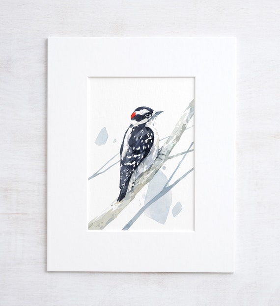 Downy Woodpecker Watercolor Print Woodland Painting Bird Watercolor