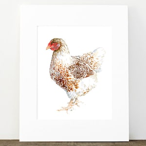 Chicken Watercolor Print White and Brown Hen Farm Animal Print image 1