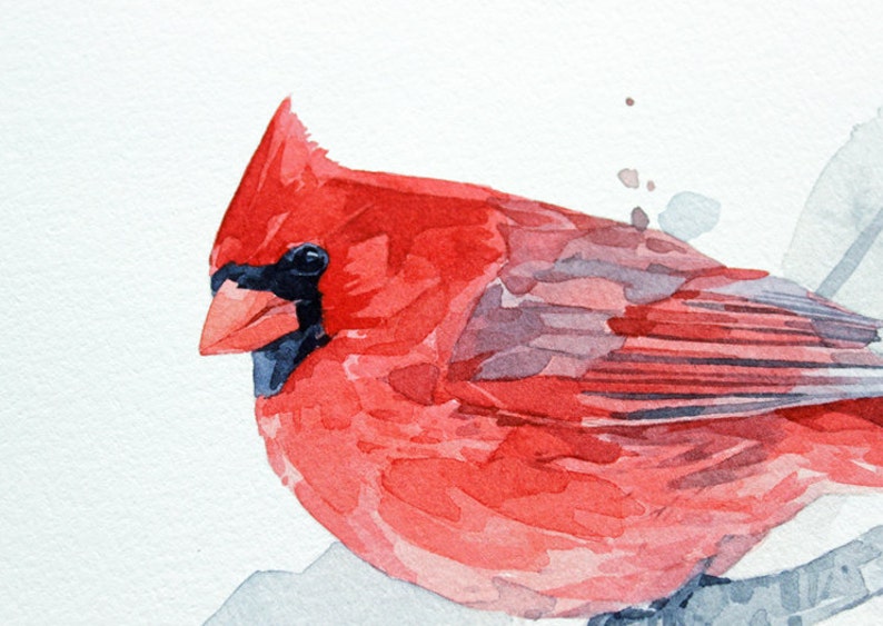 Red Cardinal Watercolor Art Print 5x7 Bird Painting Wall Art Etsy